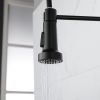 Kitchen Faucets Commercial Solid Brass Single Handle Single Lever Pull Down Sprayer SpringKitchen Sink Faucet Matte Black